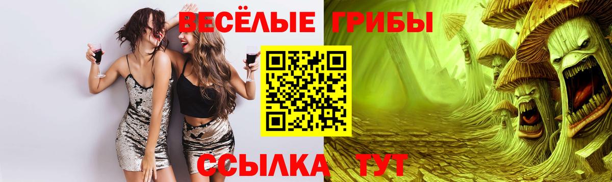 Асино  Галлюциногенные грибы прущие грибы  Вход с VPN 